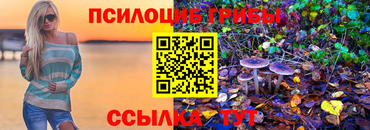 Галлюциногенные грибы GOLDEN TEACHER Городец