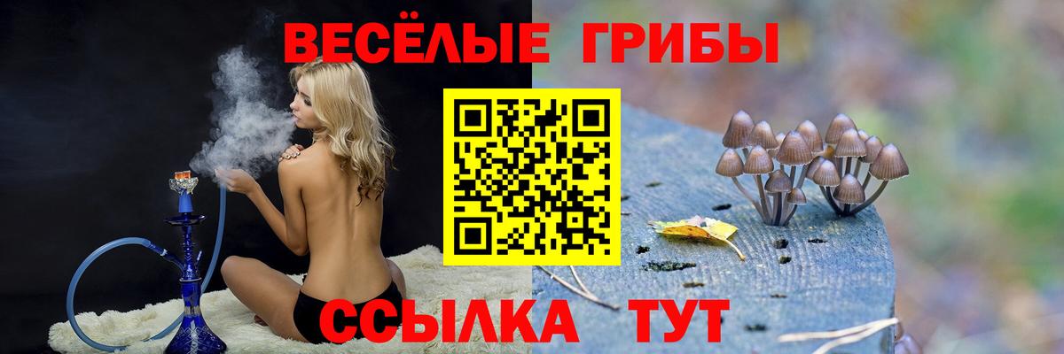 купить   Вход с VPN  Галлюциногенные грибы мухоморы  Городец  Галлюциногенные грибы GOLDEN TEACHER 